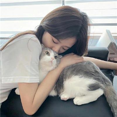 熊的乔纳森